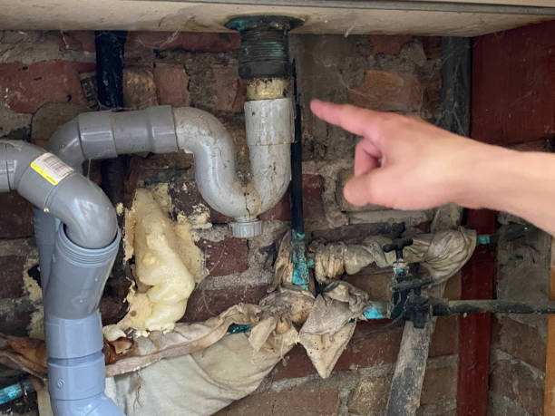 Best Sewage cleanup and water damage restoration  in Galena, OH