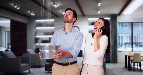 Best Mold removal after water damage  in Galena, OH