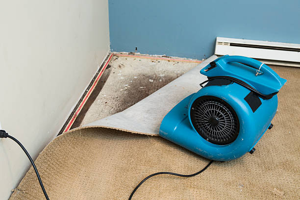 Best Flood damage cleanup  in Galena, OH